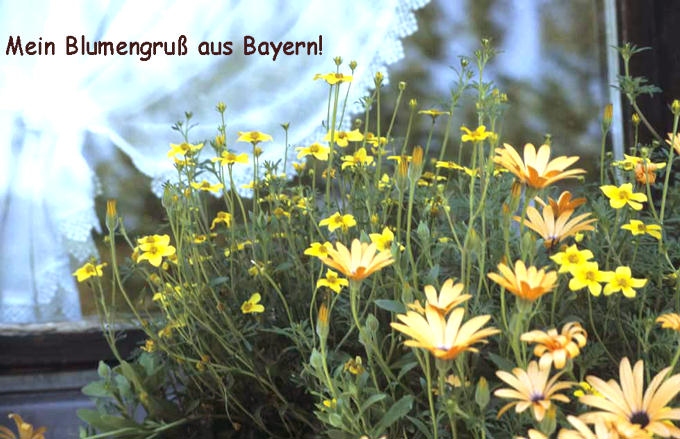 Blumengruß aus Bayern