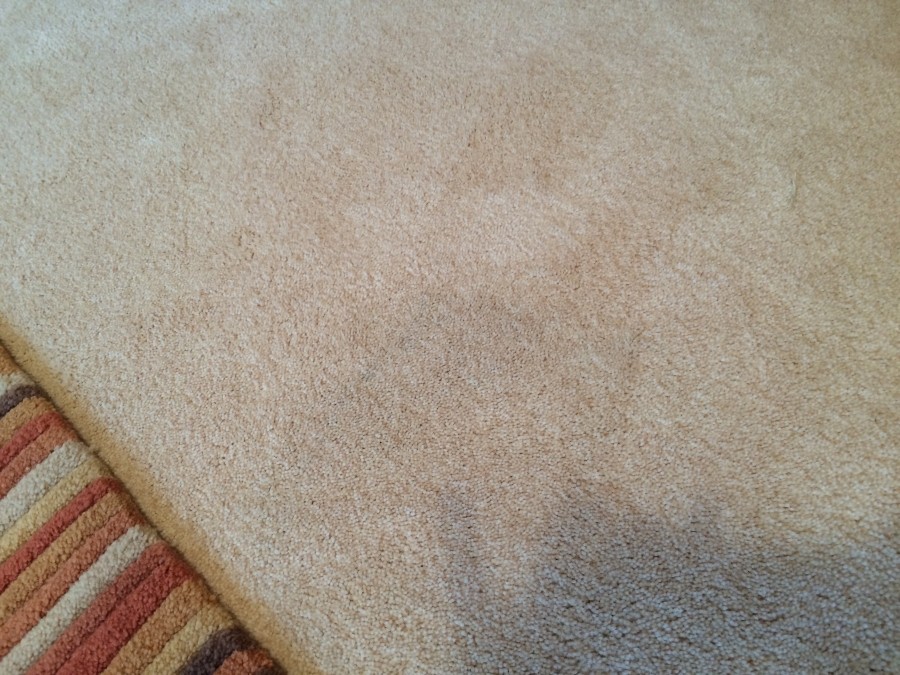 Nachdem der Teppich wieder trocken ist, sieht man von den Wachsmalstiftstrichen nichts mehr. PS: Rechts unten seht ihr meinen Schatten.