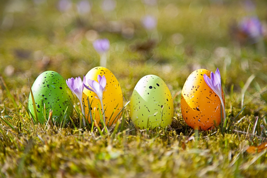 Bei uns und in vielen anderen europäische Ländern bringt der Osterhase die Eier. Aber warum eigentlich?