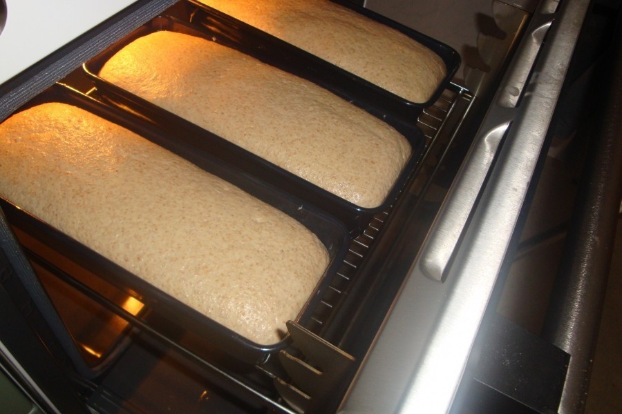Brot bäckt man meist aus einer Mischung verschiedener Mehle: Der gesunde und wohlschmeckende Schrot bäckt sich schlecht und braucht die Backqualitäten von hellem, feinen Mehl als Unterstützung.