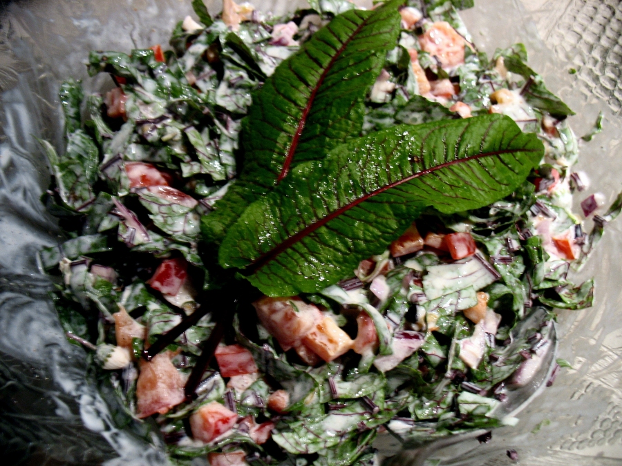 Aus den Blättern des Blut-Sauerampfers lässt sich ein leckerer Salat zubereiten.