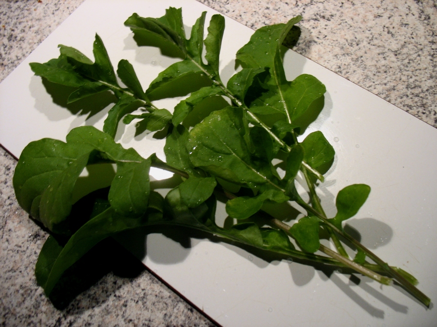 Rucola: Die wunderbare Salatpflanze war schon im Altertum als Nutzpflanze bekannt.