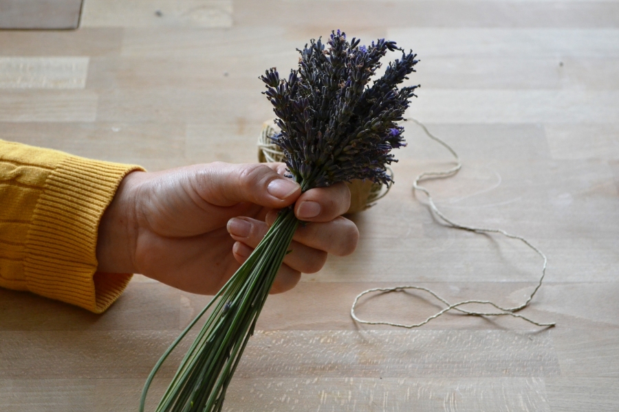 Der beste Zeitpunkt Lavendel zu schneiden, ist kurz nach der Blüte, solange sich noch keine Samen ausgebildet haben. 