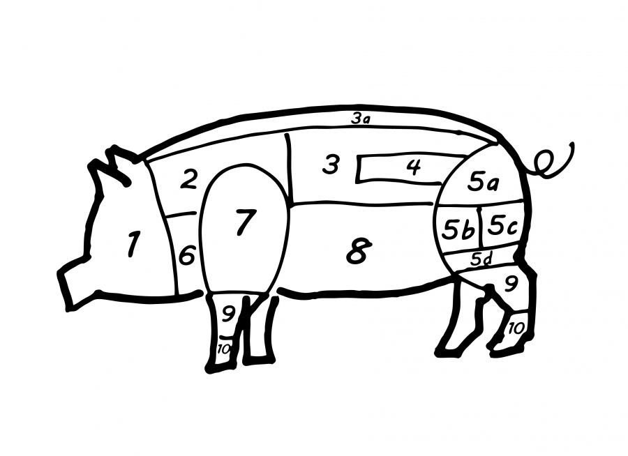 Moderne „Hochleistungs“-Schweine besitzen 16 statt 12 Rippen, wachsen sehr schnell und haben 50% weniger Speck als ihre Vorfahren. Die Muskeln sind weniger von Fett durchzogen.