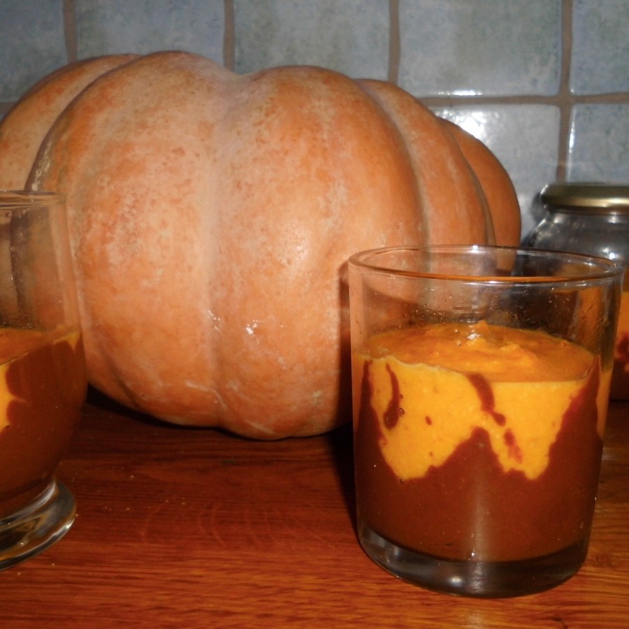 Ein Rezept für einen süßen Nachtisch auf der Basis von Kürbis: Kürbispudding Schoko-Orange.