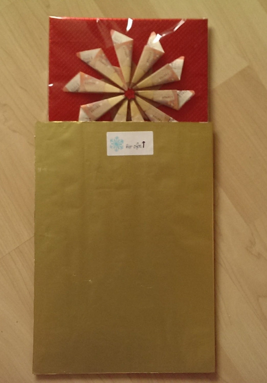 Weihnachtsstern mit Klarsicht-Geschenkpapier umhüllen und in eine dicke gebrauchte Kartonhülle im A4-Format schieben.