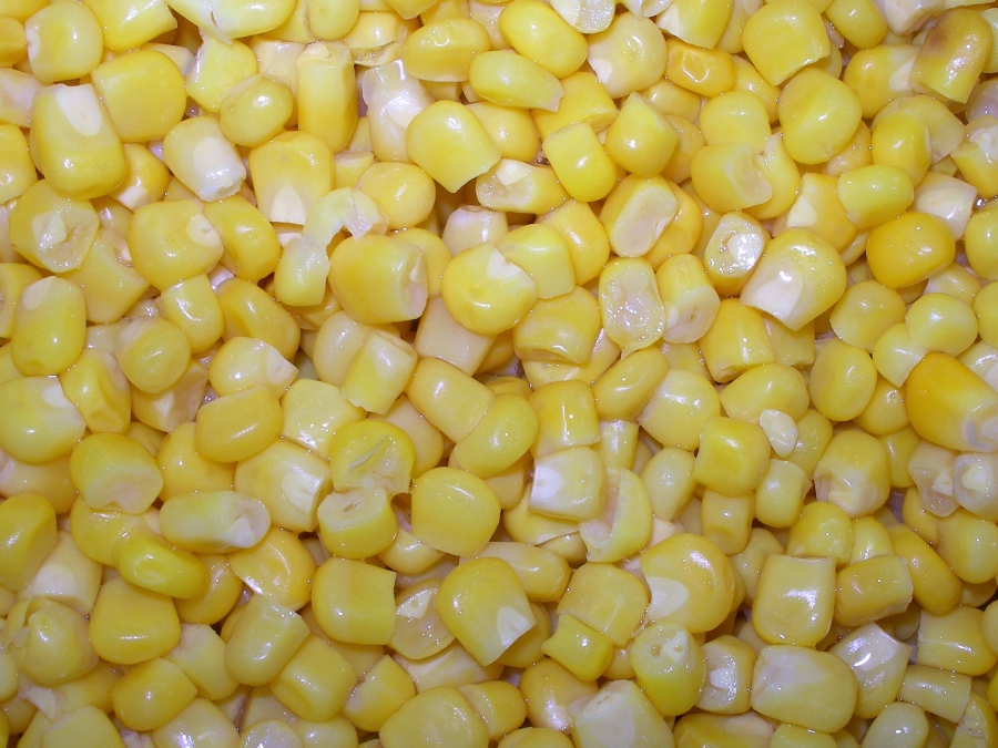 Maisschicht vorbereiten: Maiskörner vom Maiskolben trennen und mit etwas Flüssigkeit (Wasser/Milch) grob pürieren.