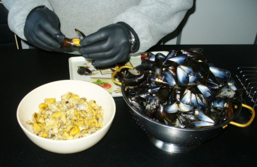 Die Muscheln koche ich in Mengen nach herkömmlicher Methode in pikantem Gemüsesud mit Weißwein, puhle sie und friere sie portionsweise ein.