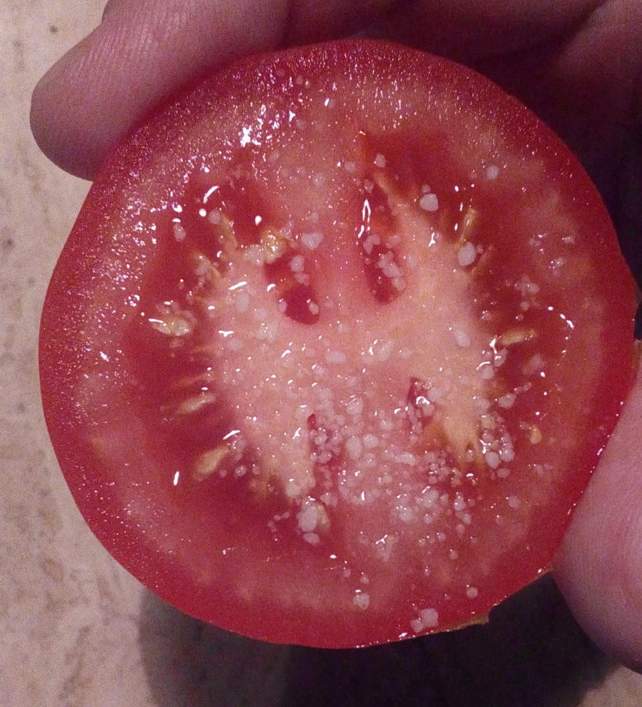 Tomate aus der Hand essen - ohne Kleckern. So geht's.
