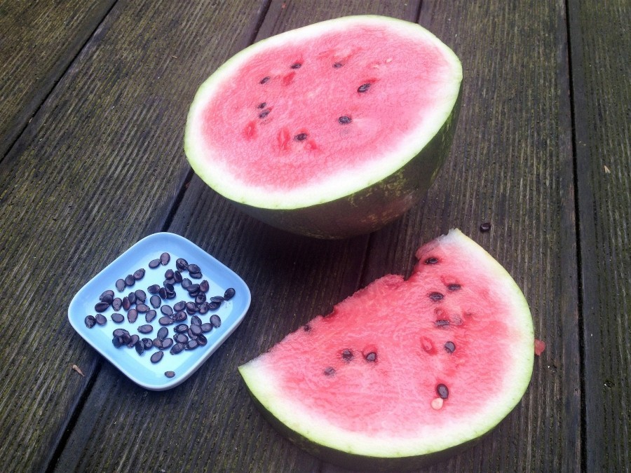 Wer Melonen mit vielen Kernen nicht, kann die Kerne rösten und bspw. für einen Salat verwerten, anstatt sie wegzuwerfen.