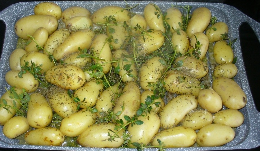 Die gekochten Frühlingskartoffeln mit reichlich frischen Thymianzweigen.