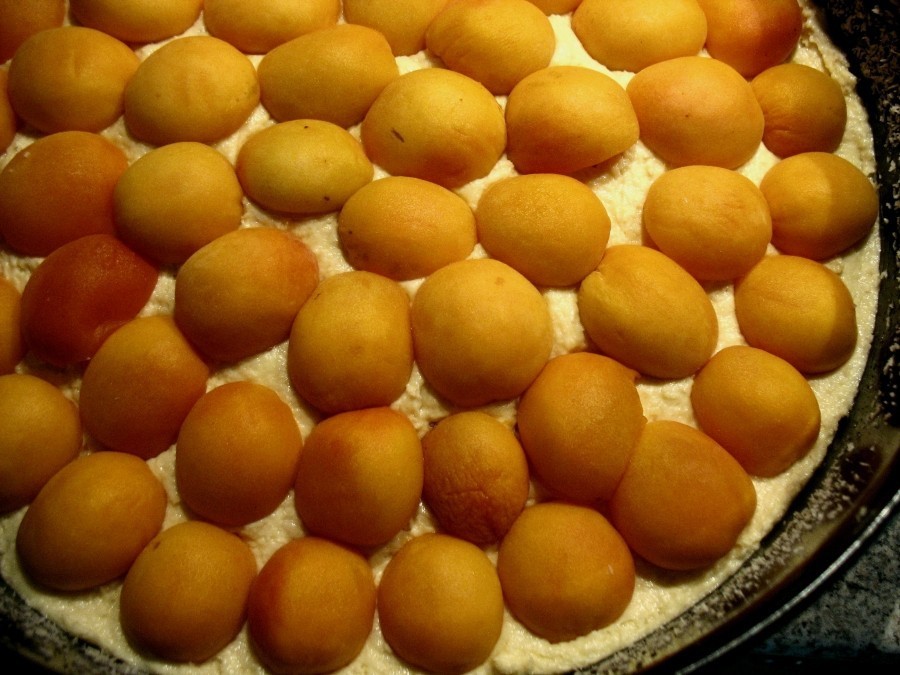 Die mit den entsteinten Zuckeraprikosen-Vierteln belegte Aprikosen-Kokos-Mandel-Torte.