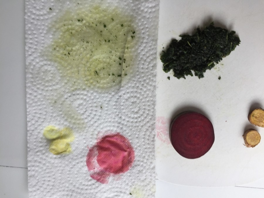 Natürliche Lebensmittelfarben: Auf dem Bild seht ihr rechts die Originale, links die Abfärbungen auf Haushaltskrepp. Es handelt sich um​ Rote Beete, Kurkuma als Rhizom und Salbei.