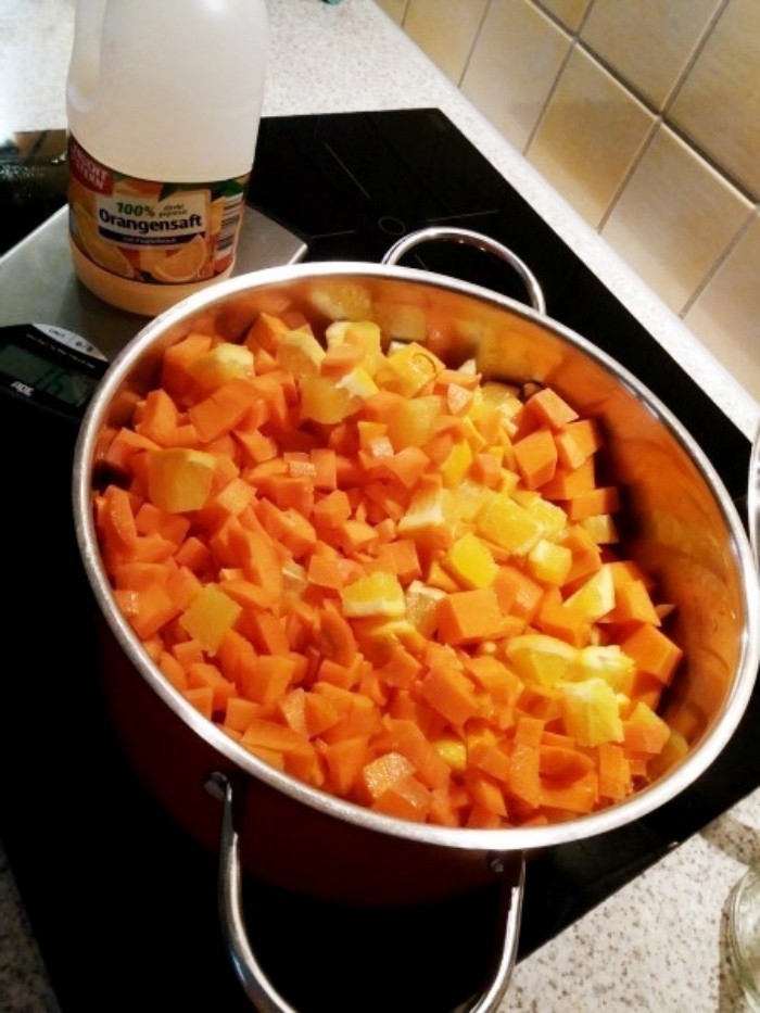 Obst und Gemüse gut waschen, in kleine Würfel schneiden, mit Saft und Gewürzen in den Topf geben. Ca. 15 Minuten köcheln lassen, bis es weich ist.
