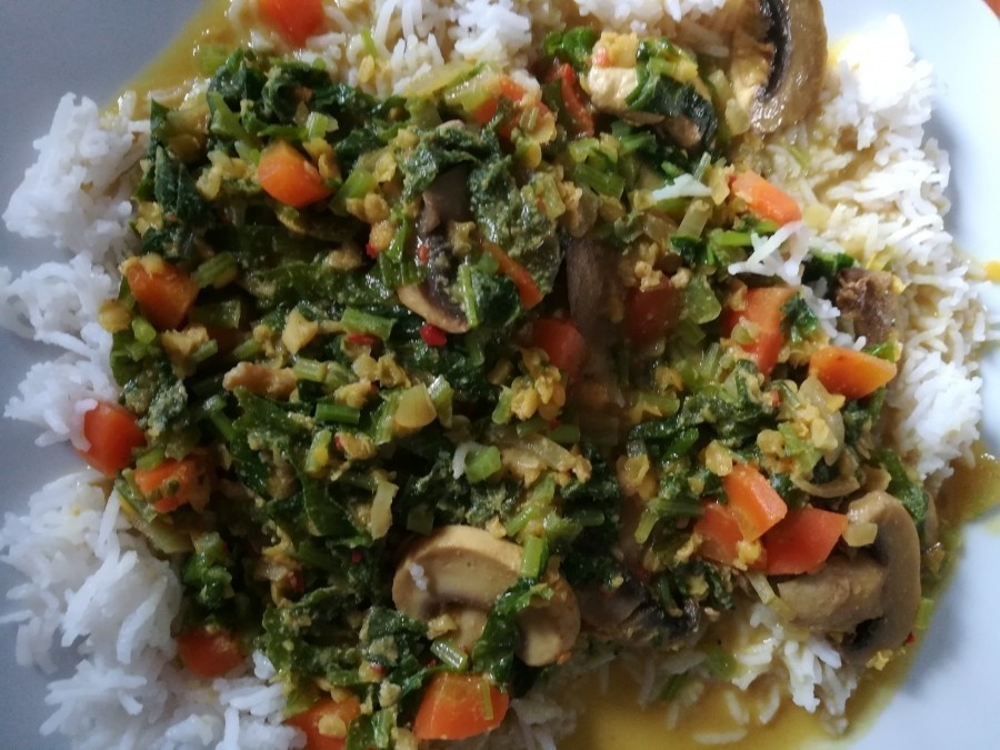 Vegetarisches Reisrezept mit Stilmus, Möhren, Champignons und roten Linsen.