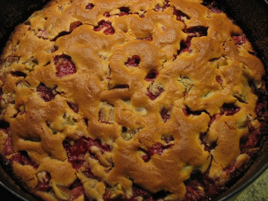 Nach der Backzeit lässt man die aus der Form gelöste Rhabarber-Erdbeer-Joghurt-Torte auf einem Kuchengitter auskühlen.