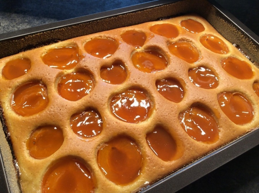 Wenn der Marillenkuchen fertig gebacken ist, kommt je ein Kaffeelöffel warme Marmelade auf die etwas eingesunkenen Marillen.