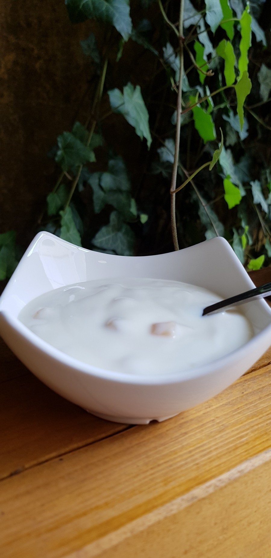 Tatsächlich helfen Joghurtkulturen dabei, einen durch Bakterien ausgelösten Mundgeruch, zu reduzieren.