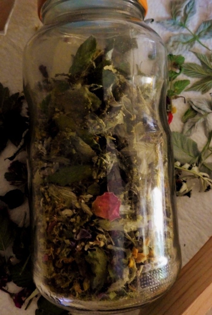 Blüten und Blätter für Tee sammeln: Zu Hause werden die Schätze zum Trocknen ausgebreitet. Wenn sie rascheltrocken sind, kann man sie zerkleinern und im Glas aufbewahren.