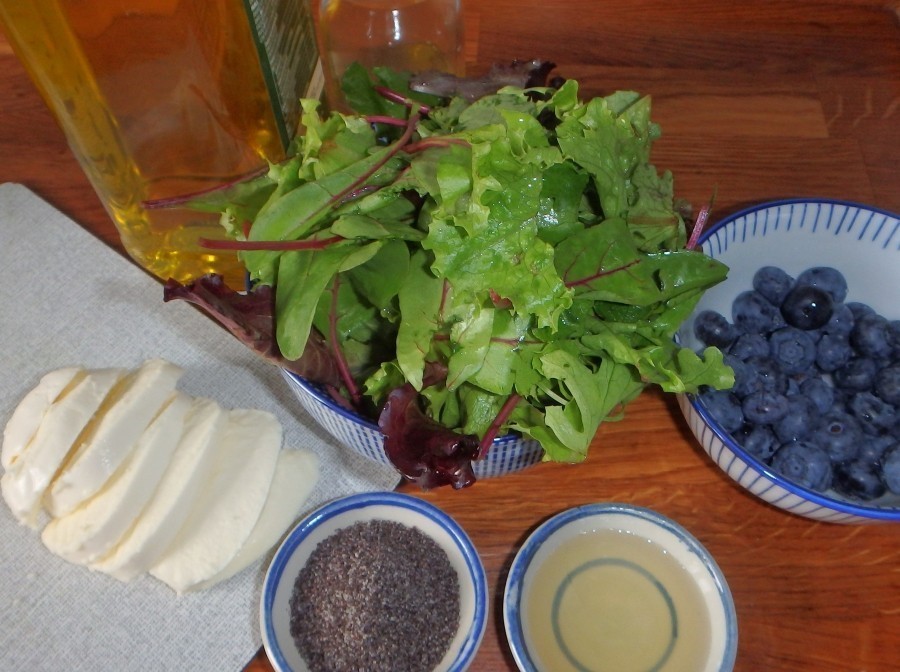 Diese Zutaten ergeben ein leichtes Abendessen für 1 Person - Wildsalat mit Mozzarella, Blaubeeren und Mohndressing.