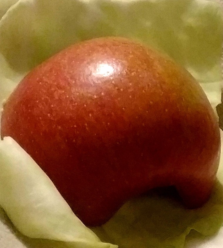 Mithilfe eines Weißkohlblattes verhindern, dass ein aufgeschnittener Apfel braun wird. Funktioniert wunderbar. 