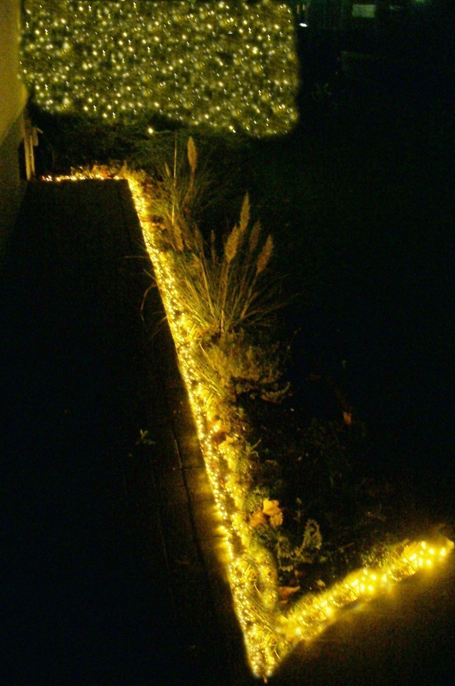 Weihnachtsdeko mal anders: Warum die Lichterkette immer am Baum oder Strauch befestigen? Hier zu sehen, ein mit einer Cluster-Lichterkette, umrandetes Beet.