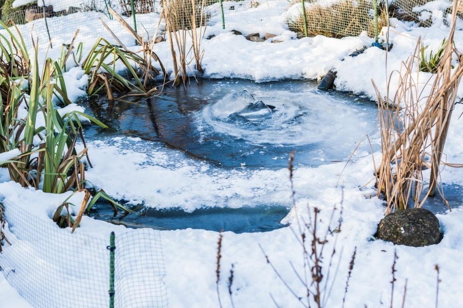 Damit bei einem eingefrorenen Teich oder See eine offene Stelle bleibt, als Trinkstelle für Tiere, kann man diesen Tipp anwenden.