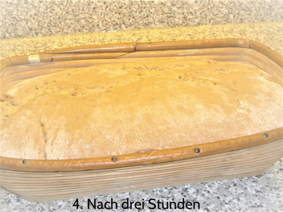 Man kann das Brot auch in einer Form backen, aber das verändert den Geschmack und die Kruste wird auch nicht so schön.