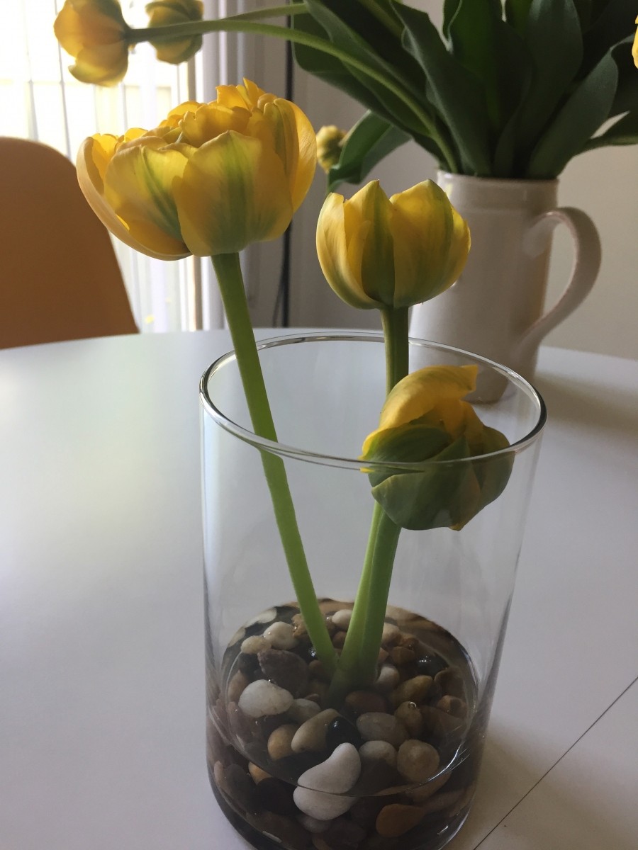 Die 3 Tulpen mit den Stielen zueinander, in der Mitte des Glases platzieren. Die Steine halten die Tulpen.