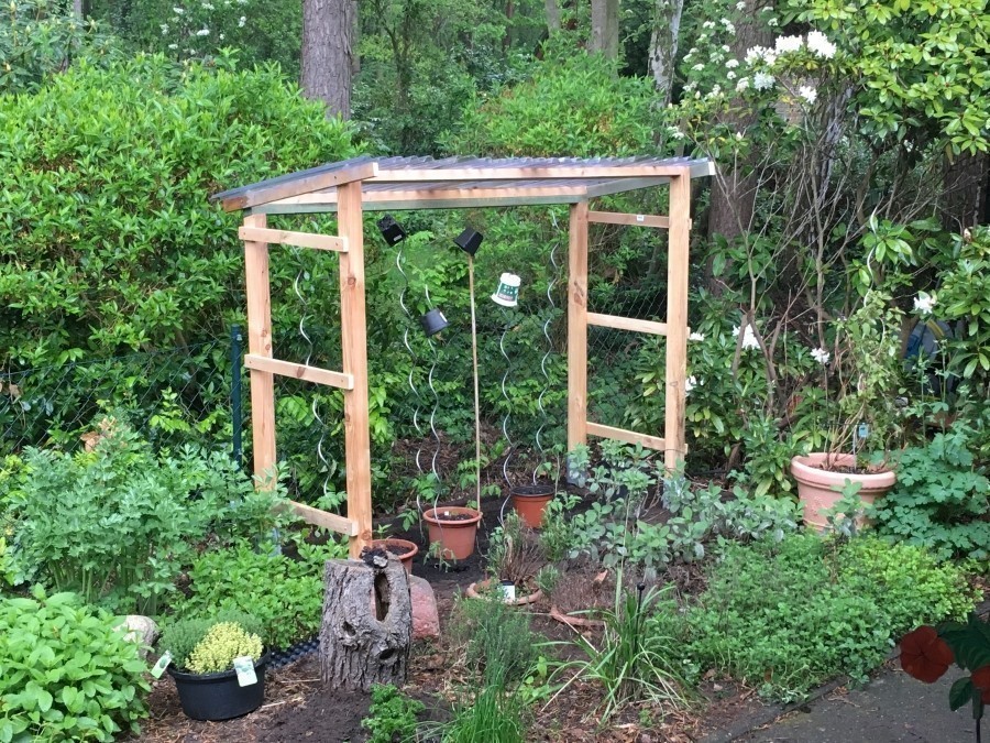 Das Tomatenhaus ist für 7 Pflanzen konzipiert. Die auf einem der Fotos zu sehenden Blumentöpfe sind nur vorübergehend, wegen des starken Regens heute, dort untergebracht, es sind Chilis.