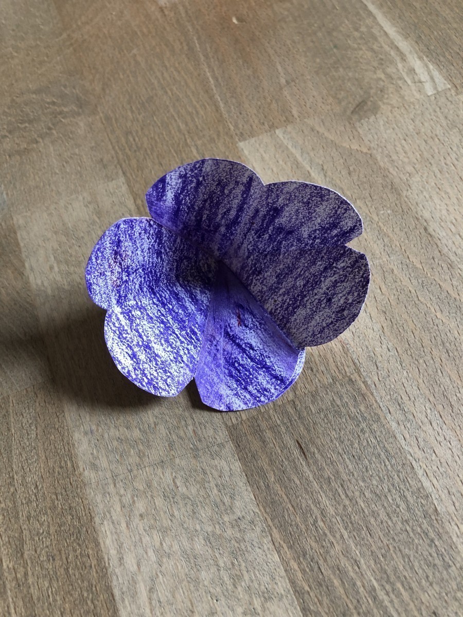 Eine Art „3D-Blume“ ist entstanden, die jetzt noch sechs Blütenblätter besitzt.