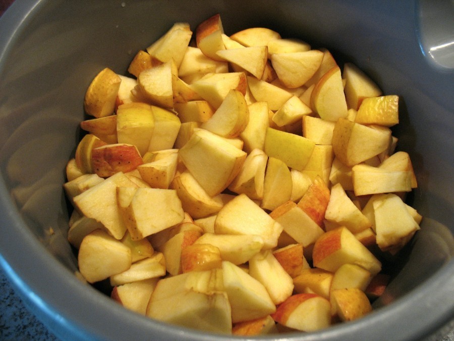 Die Äpfel werden gewaschen, geviertelt, vom Kerngehäuse befreit, in kleine Stücke geschnitten und mit etwas Zitronensaft beträufelt.