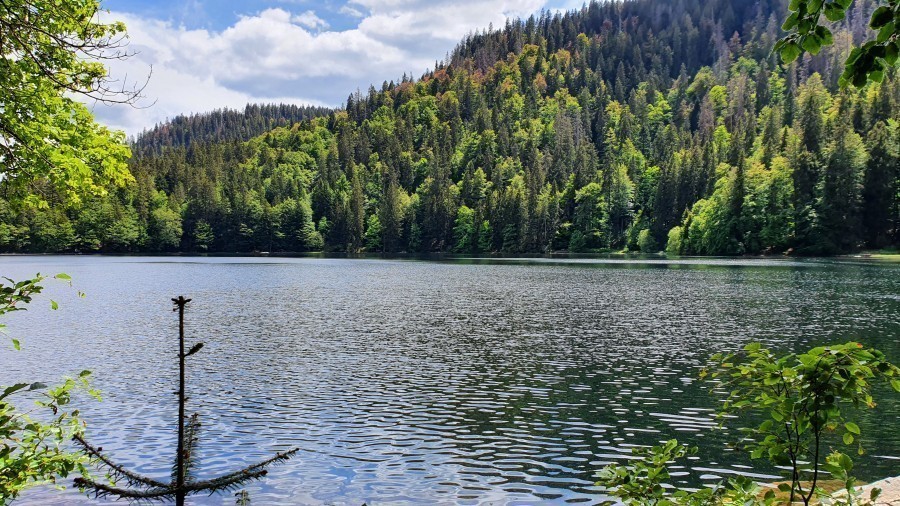 Am Fuße des Feldbergs liegt der malerische Feldsee, dessen Magie zum Entspannen einlädt.