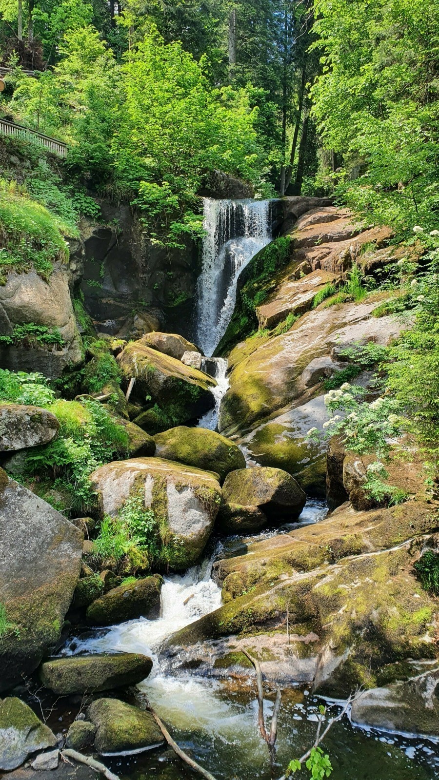 Die Triberger Wasserfälle erstrecken sich über mehrere Fallstufen und sind die höchsten Wasserfälle Deutschlands.