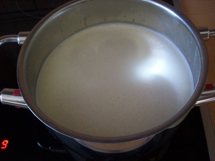 Restliche Flüssigkeit zum Kochen bringen. Die Vanillepaste kann dann in die heiße Milch gerührt werden.