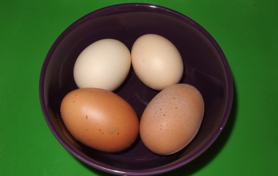 Kalte Eier (weich oder hart) mithilfe der Kaffeemaschine wieder erwärmen und schon kann man die Eier genießen.