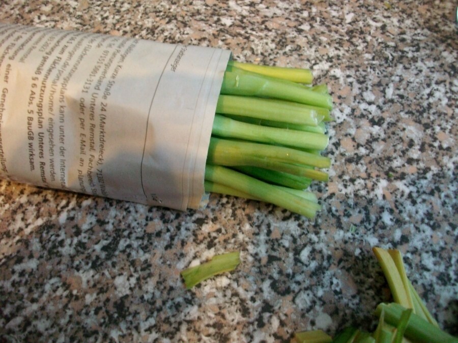 Nun die Tulpen alle auf gleiche Länge schräg anschneiden und zusätzlich zum schrägen Anschnitt noch einschneiden/spalten.