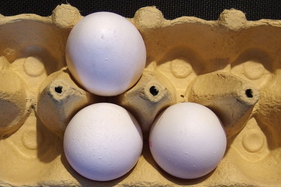 Die Eier, die eine Henne zuletzt legt, haben die schlechteste Qualität, d. h. auch die dünnste Schale. Also Augen auf beim Eierkauf.