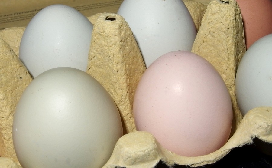 Um festzustellen, ob ein Ei roh oder gekocht ist, lässt man es einfach auf dem Tisch um die eigene Achse wirbeln.