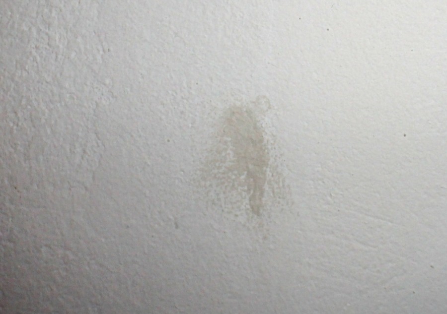 Mithilfe von Löschpapier lassen sich Fettflecken von Wänden entfernen.