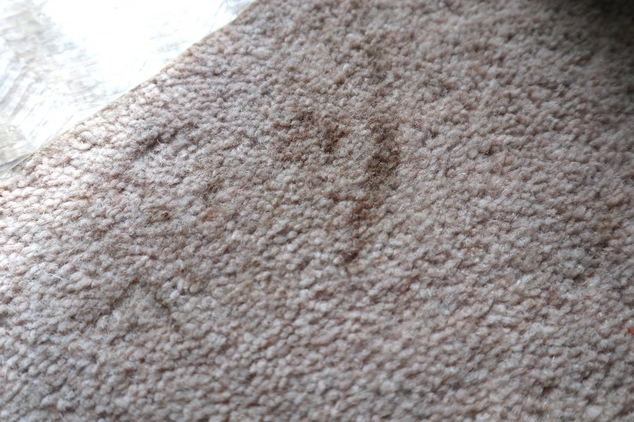 Mit einer Mischung auf Backpulver, Hefepulver und Milch lässt sich ein Teppich hervorragend reinigen.