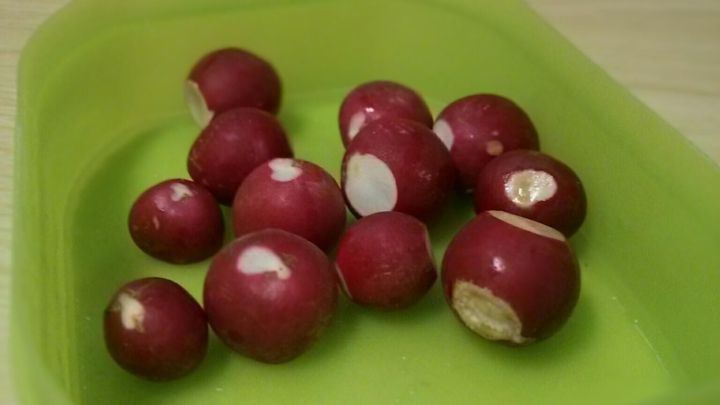 Radieschen frischhalten
