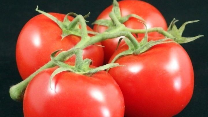 Tomaten lassen sich leichter schälen, wenn man sie zuvor kurz in kochendes Wasser legt.