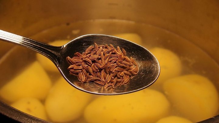 Salzkartoffeln mit etwas Kümmel kochen: schmeckt lecker und Kartoffeln bleiben länger frisch.