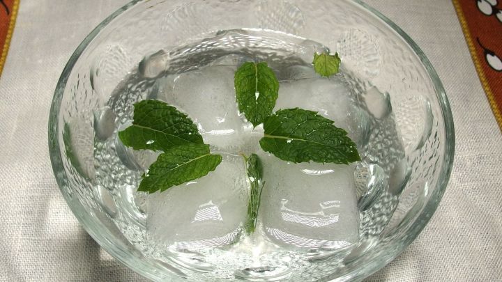 Welke Minze wird wieder frisch, wenn man sie für einige Minuten in Eiswasser gibt.