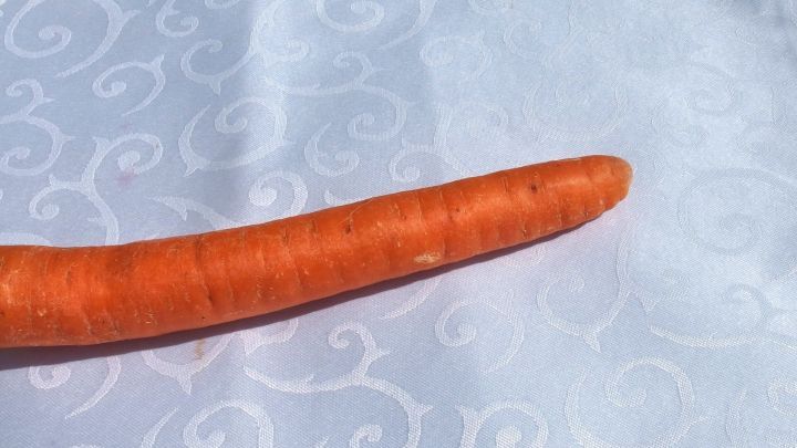 So kann man Karottenflecken bei weißen Kleidungsstücken ganz einfach verschwinden lassen.