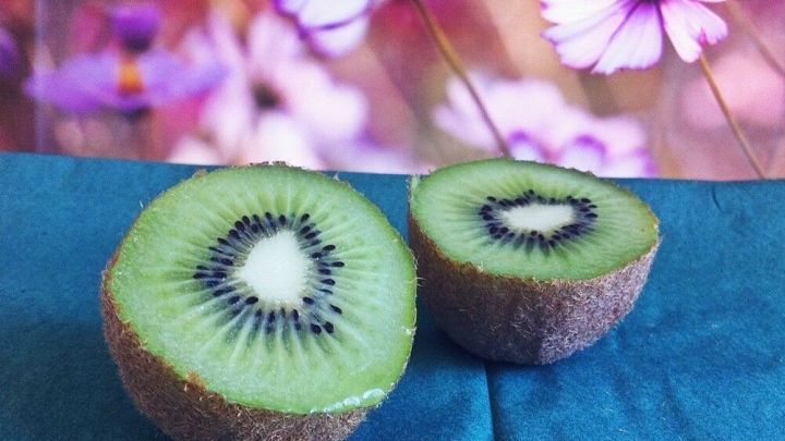 Kiwi zusammen mit einem Apfel in einer Büchse - einer Art Brutkasten - ein paar Tage liegen lässt, werden sie ganz weich und aromatisch.