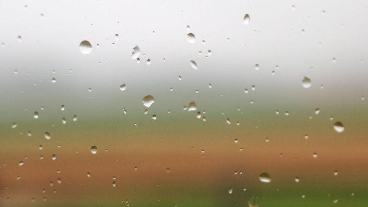 Fenster mit Weichspüler putzen: Die Fenster glänzen sehr schön und das Regenwasser perlt dadurch besser ab.