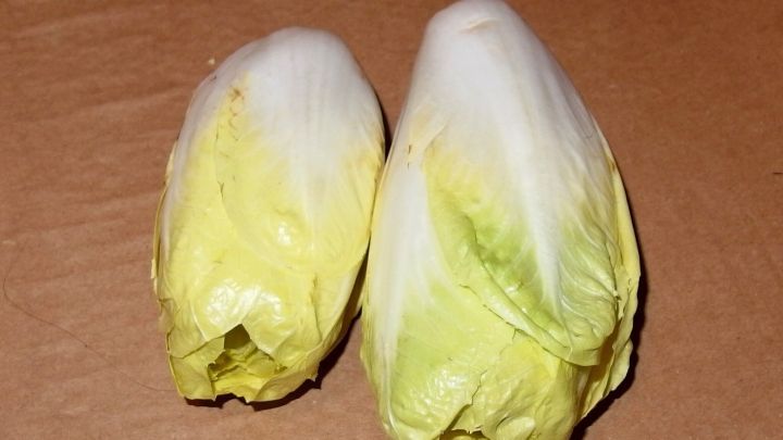 Hier ist eine leckere Alternative zum Chicoreesalat: Chicoree (ohne den bitteren Stunk) in Salzwasser 10-15 Minuten kochen, abtropfen lassen, in Ei und Semmelmehl panieren und braten.
