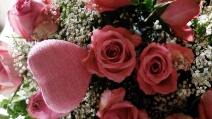 So bleiben Rosen länger frisch: Ein paar Tropfen Zitronensaft in die Vase geben und schon halten sie fast 14 Tage!